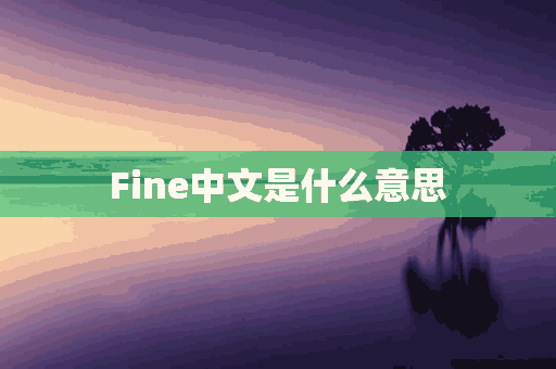 Fine中文是什么意思(nodefine中文是什么意思)